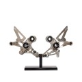 AEM FACTORY - DUCATI MONSTER 696 796 & 1100 ADJUSTABLE BILLET REARSETS WITH COLORED ECCENTRIC AEM FACTORY - DUCATI MONSTER 696 796 & 1100 ADJUSTABLE BILLET REARSETS WITH COLORED ECCENTRIC